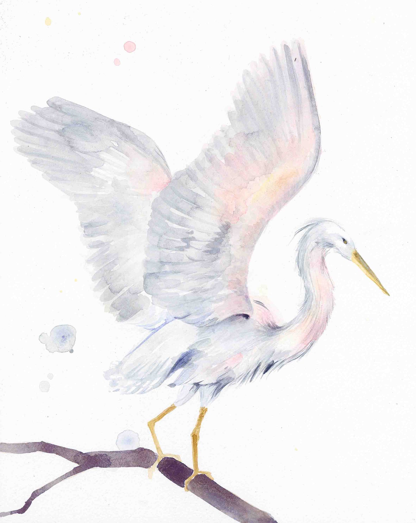 Egret with wings spread print