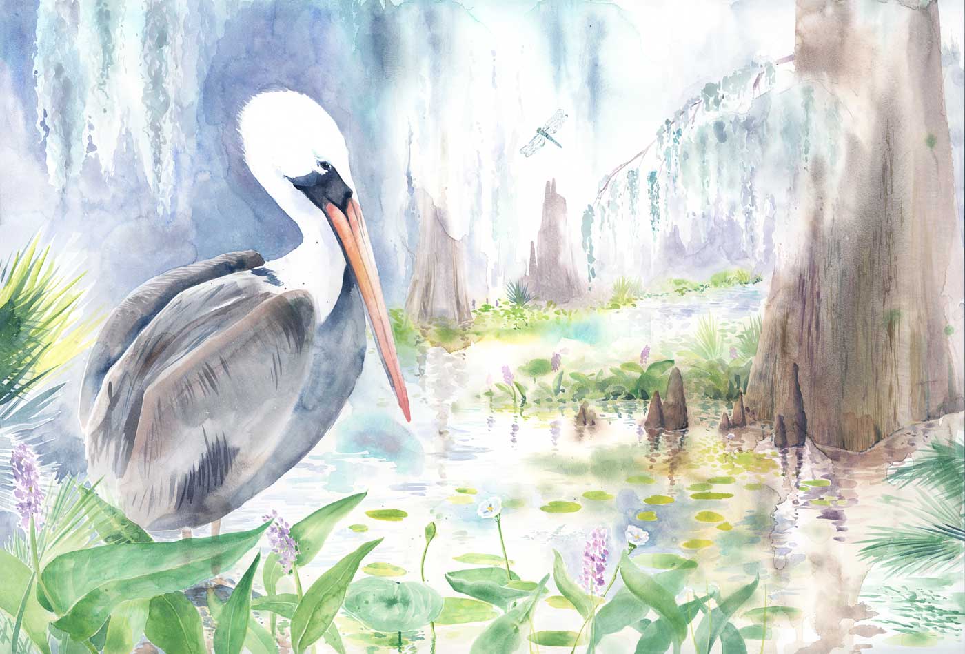 Pelican in Louisiana Swamp watercolor print