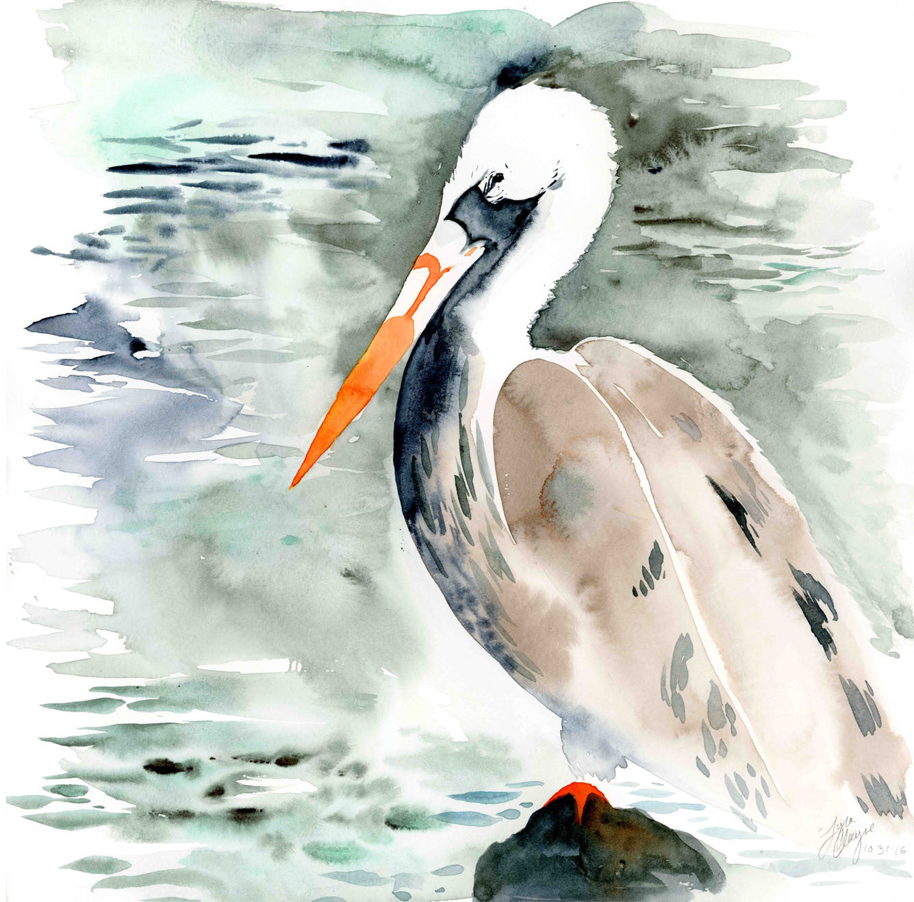 Pelican watercolor print