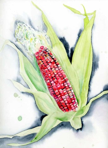 Pink Corn watercolor print