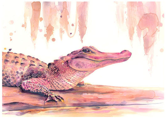 Pink Alligator