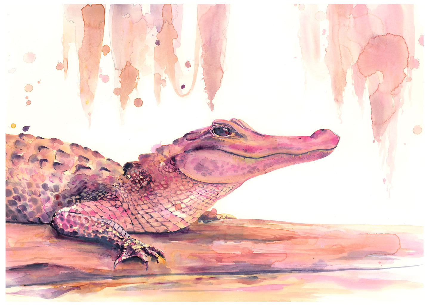 Pink Alligator